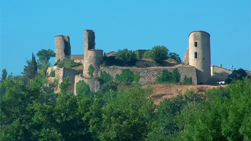 Château de Pontevès - Pontevès