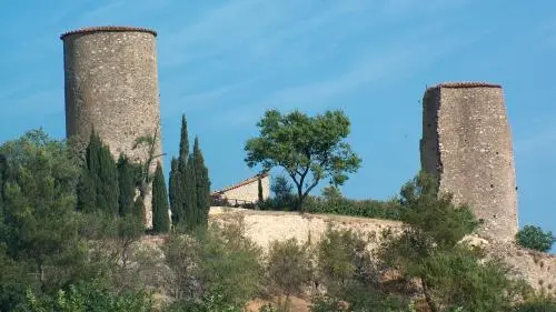 Château de Pontevès - Pontevès