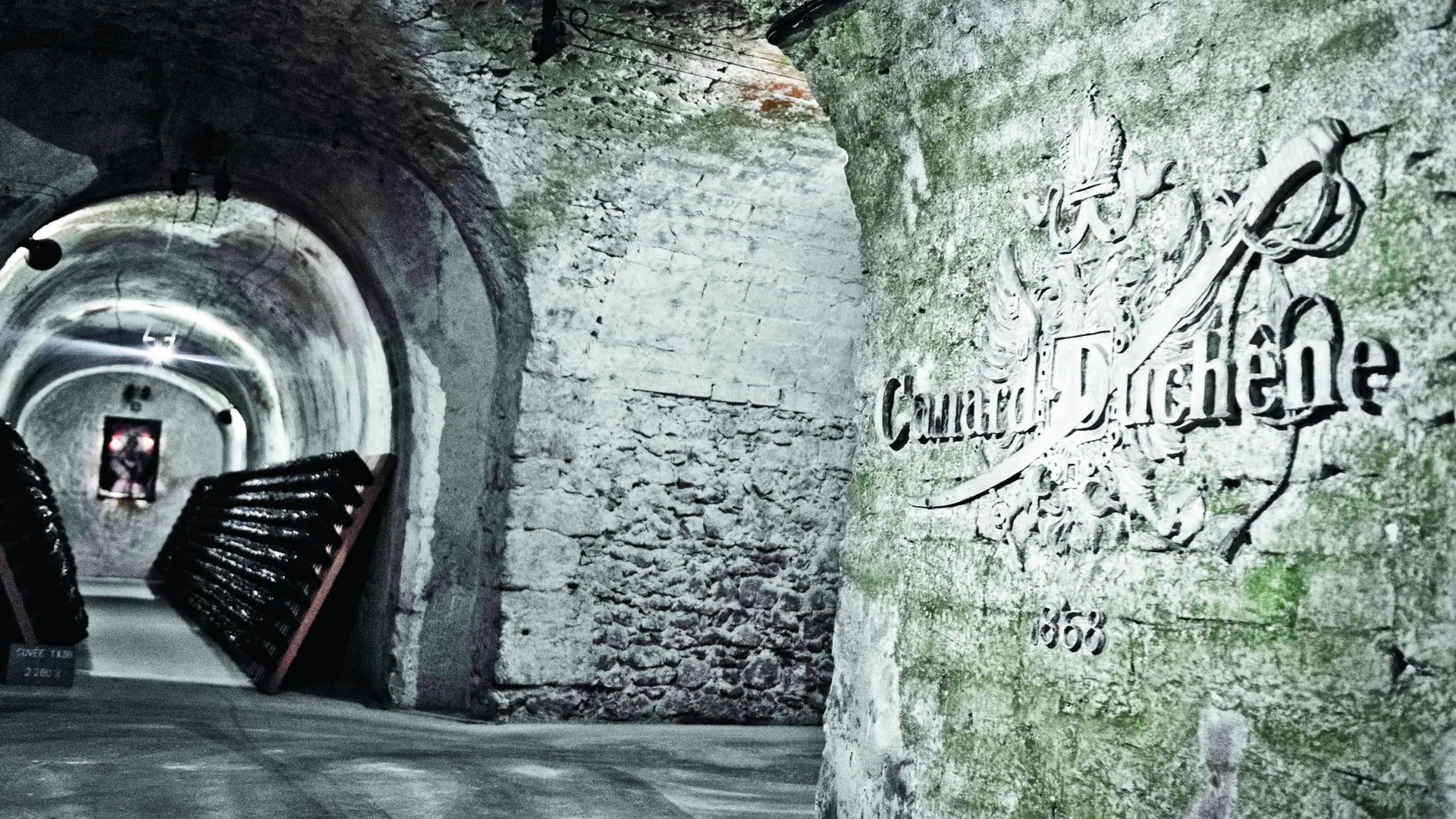 Canard-Duchenes-MKB90412-copie-2