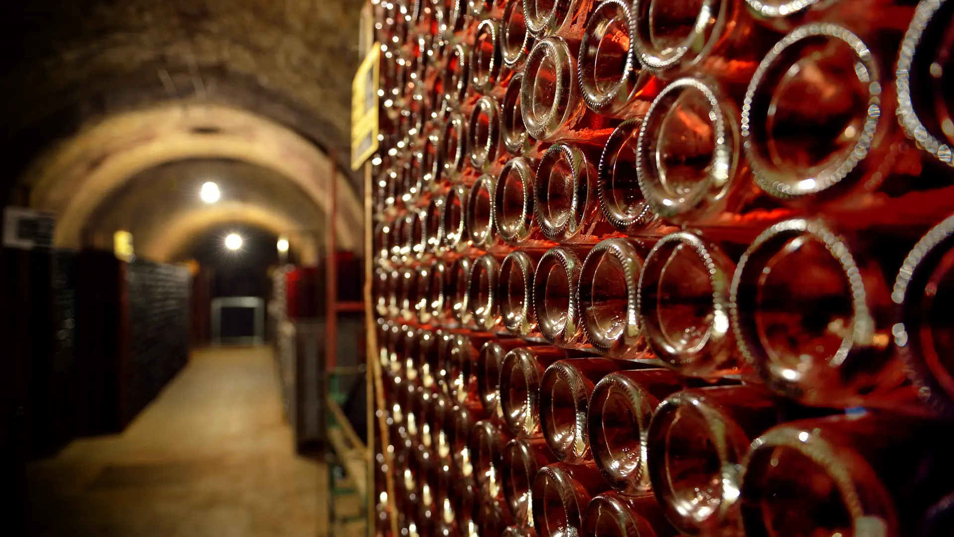 ChampBeurtonCouv_037