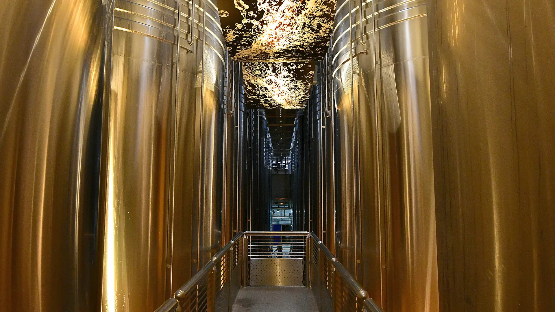 Circuit de Visite NF - photo M Jolyot (63)