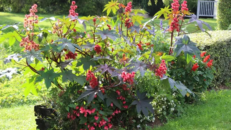 Coolus(2)©Christian Ferrand