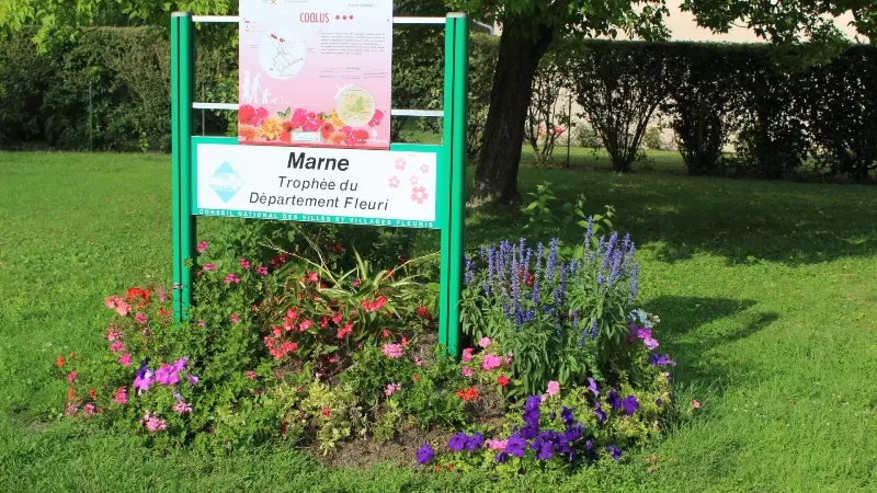 Coolus(3)©Christian Ferrand