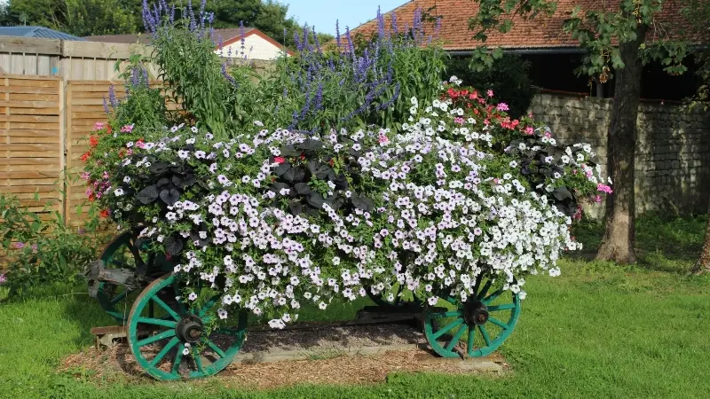 Coolus(4)©Christian Ferrand