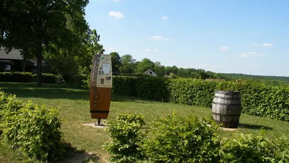 Le Sentier du Vigneron