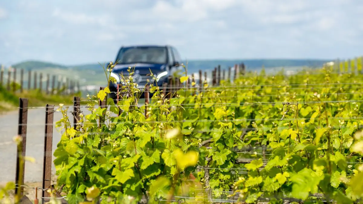 a-la-francaise-on-the-road