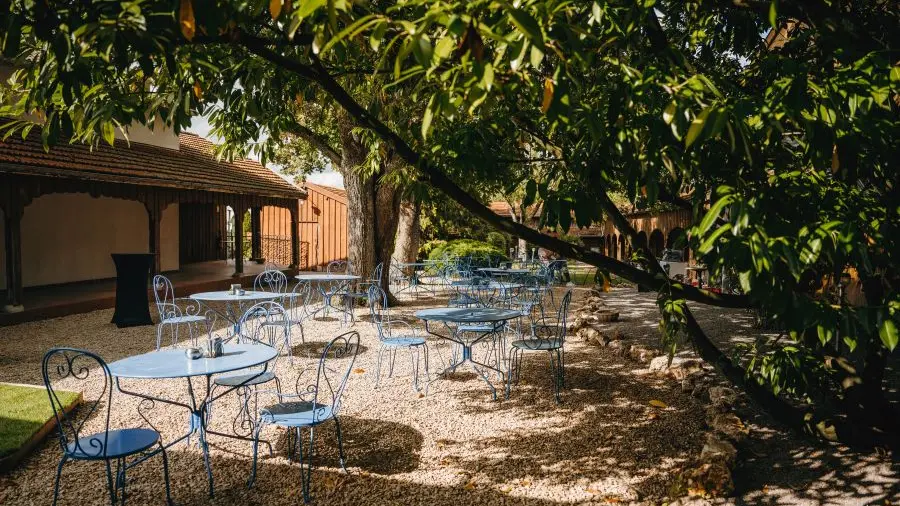 aux-armes-de-champagne-l-epine-terrasse