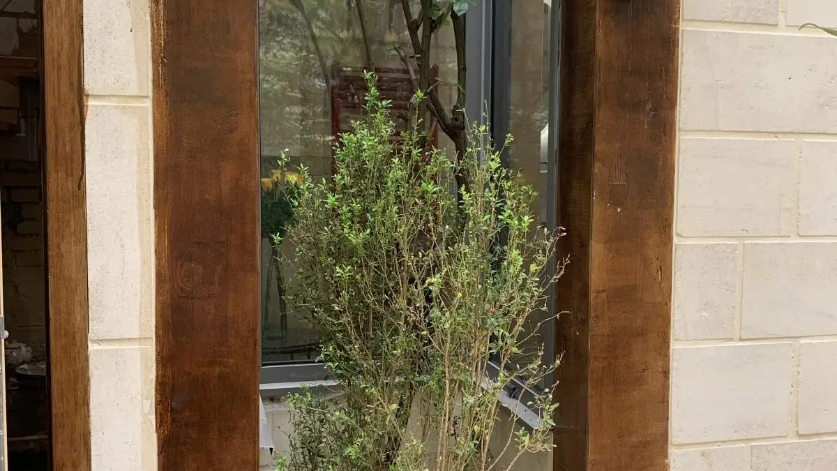 chambres-hotes-guy-fribourg-chalons-1