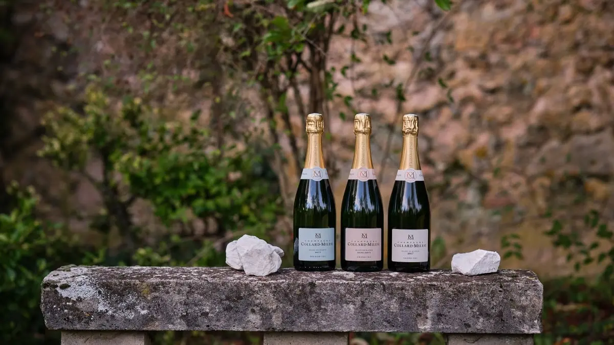 Cuvées - Champagne Collard-Milesi