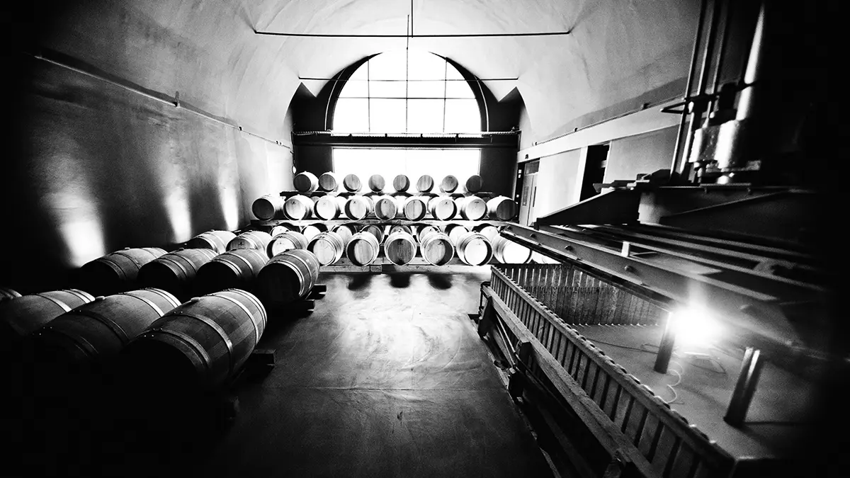 champagne-canard-duchene-visite-decouverte