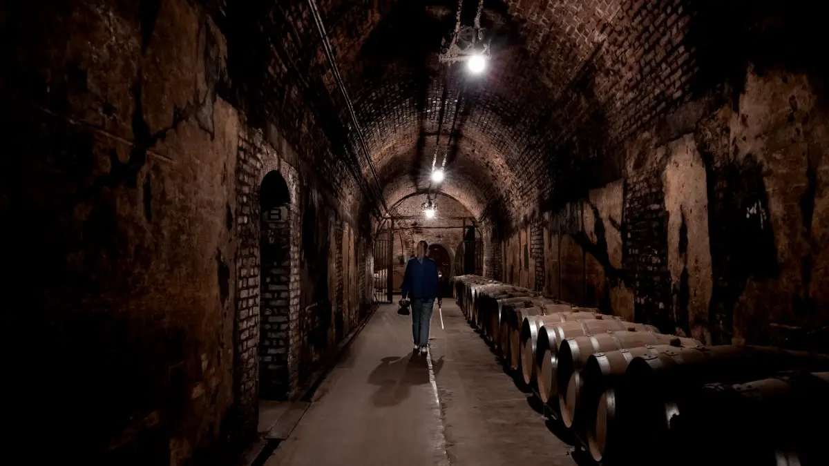 champagne-guy-charbaut-caves