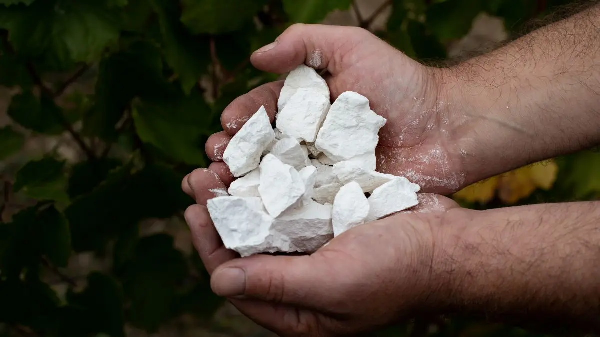 champagne-famille-collet-craie