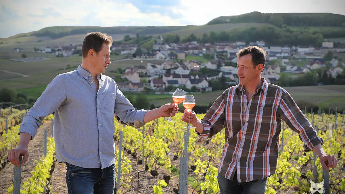 champagne-henri-david-heucq