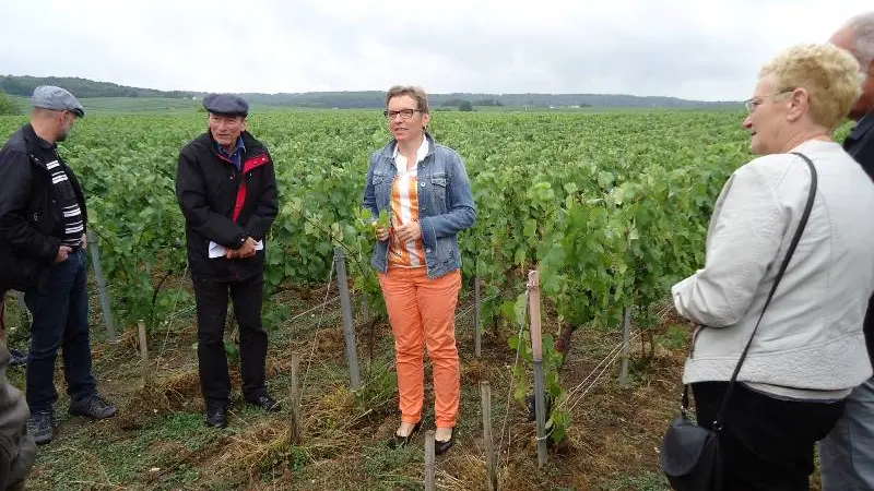 champagne-jorez-lebrun-visite-vigne