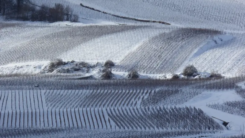 champagne-lacuisse-sermiers1