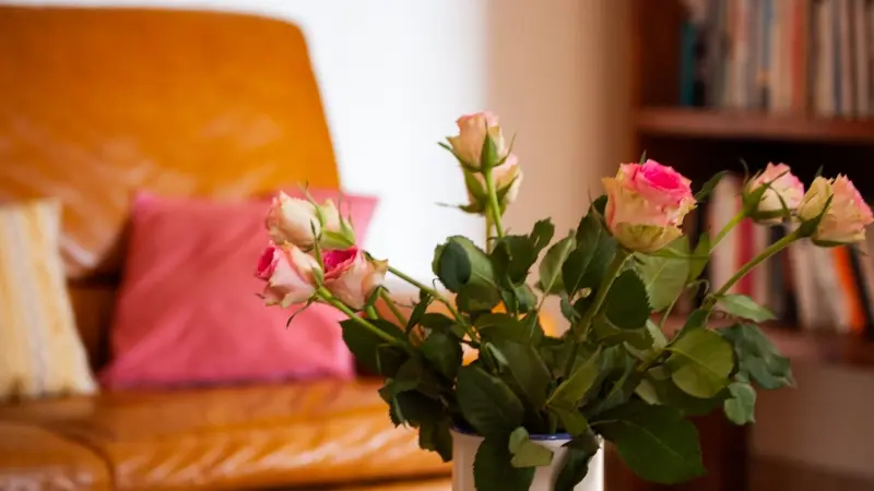 gite-chez-lea-pocancy-4