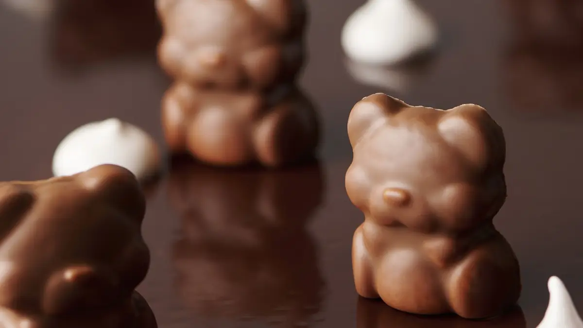 maison-caffet-chalons-en-champagne-7