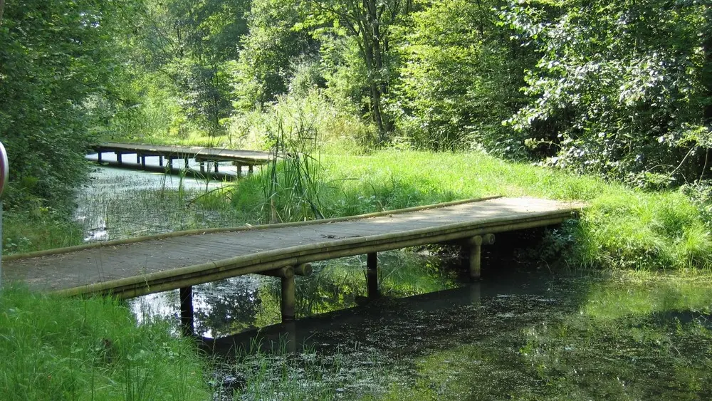 Val de Serre < Grandrieux < Thiérache < Aisne < Picardie < Hauts de France