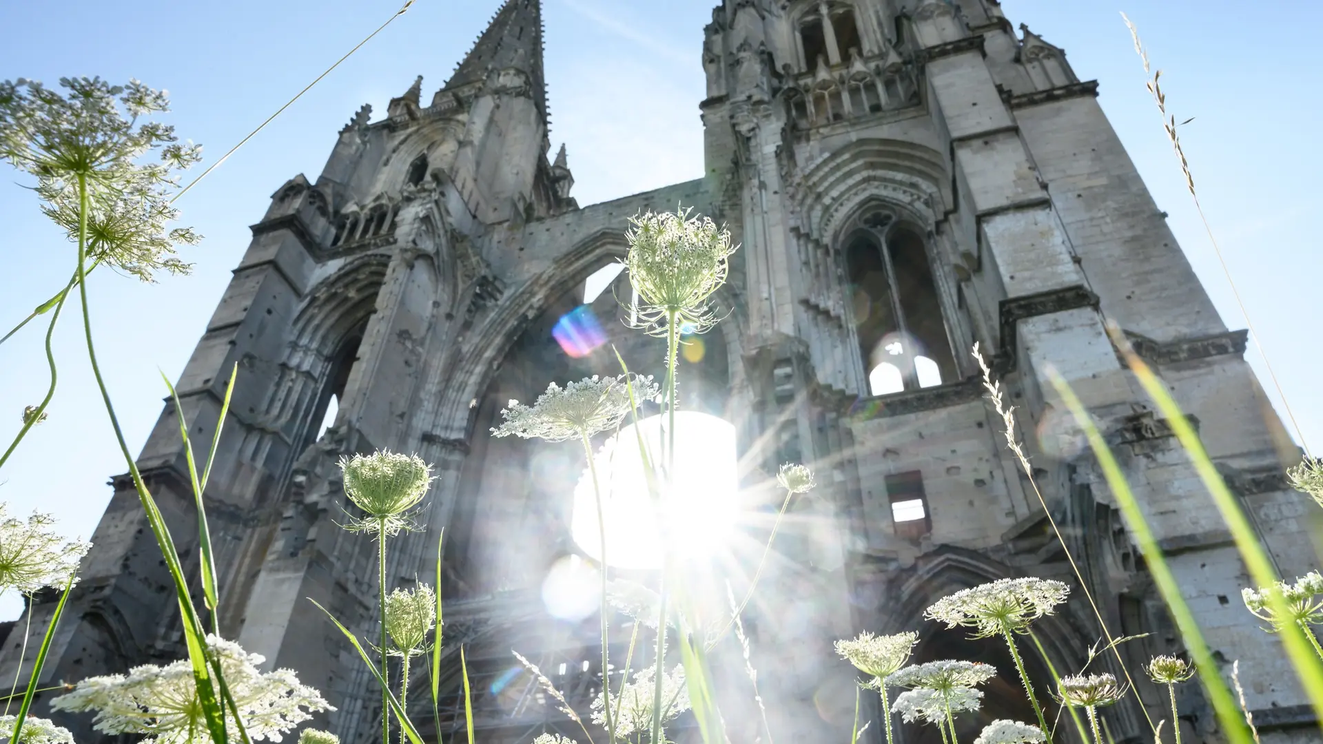 Saint-Jean-des-Vignes