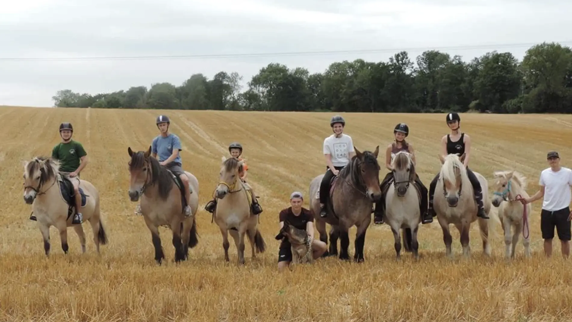 TOUT FER A CHEVAL