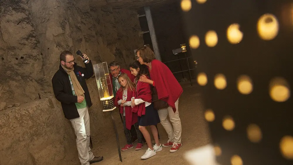 Visite de la Caverne du Dragon V