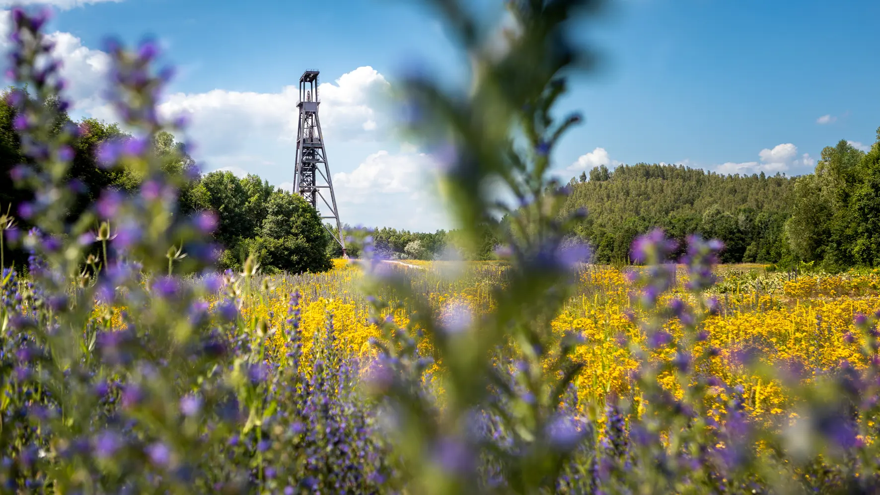 Condé-sur-l'Escaut-Chabaud-Latour-OTCVM©claude.waeghemacker-HD-25 wae