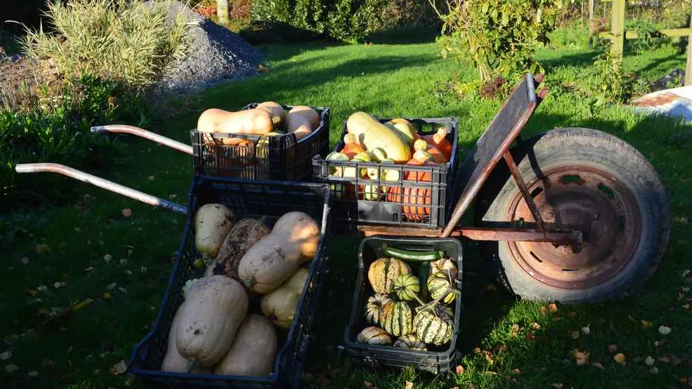 Jardin Roy < Haution < Thiérache < Aisne < Hauts de France