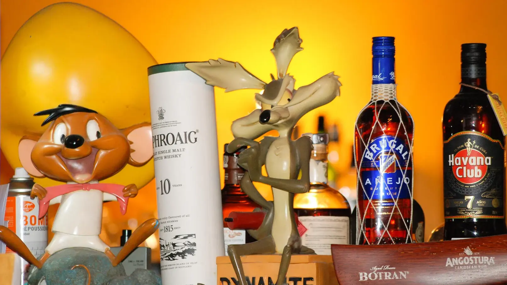 Déco le coyote