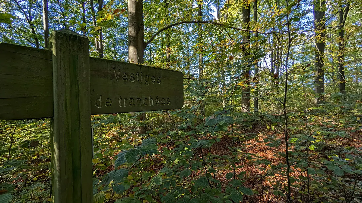 Plateau de Californie - vestiges de tranchées