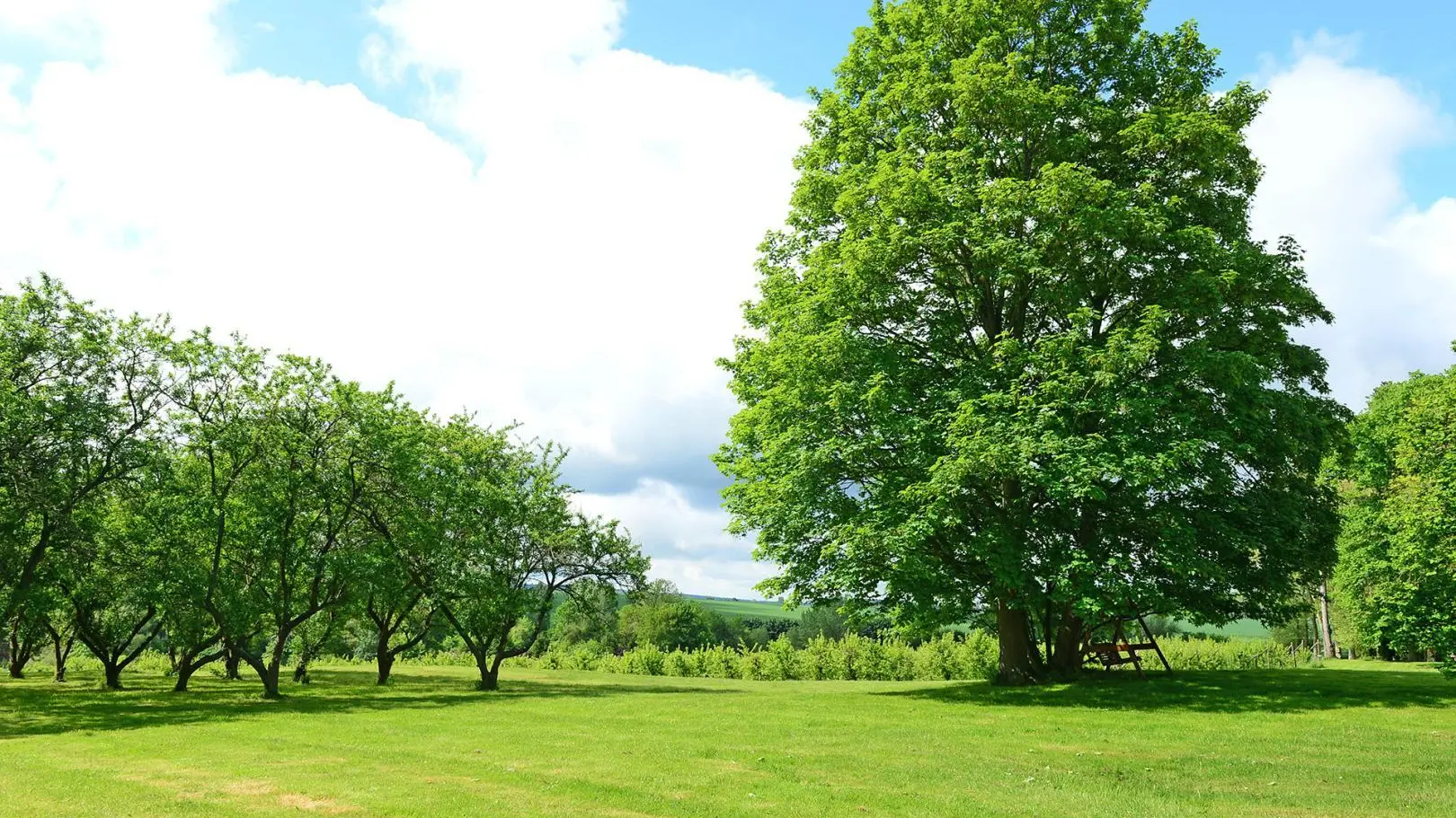 ROGECOURT Domaine du Mont Rouge