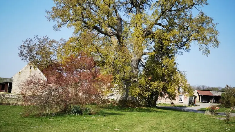 BEUVARDES Gîte du Chêne