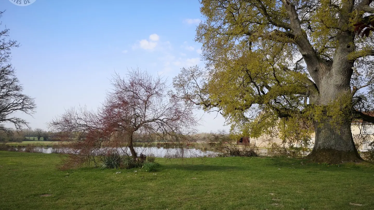 BEUVARDES Gîte du Chêne