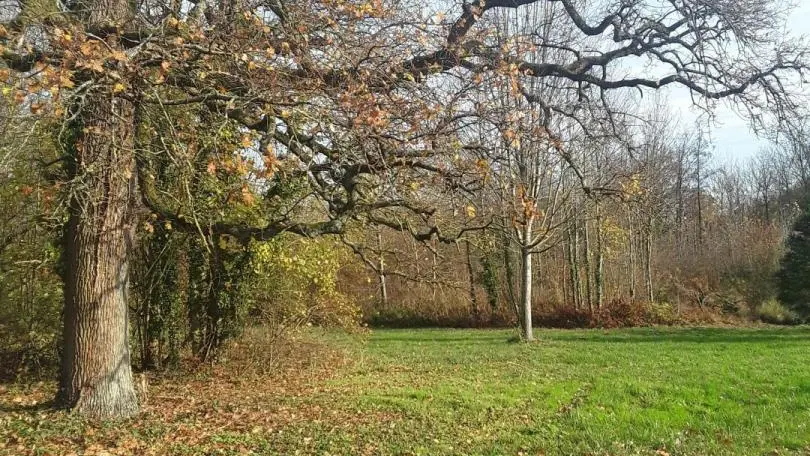 MONS-EN-LAONNOIS Le Noisetier