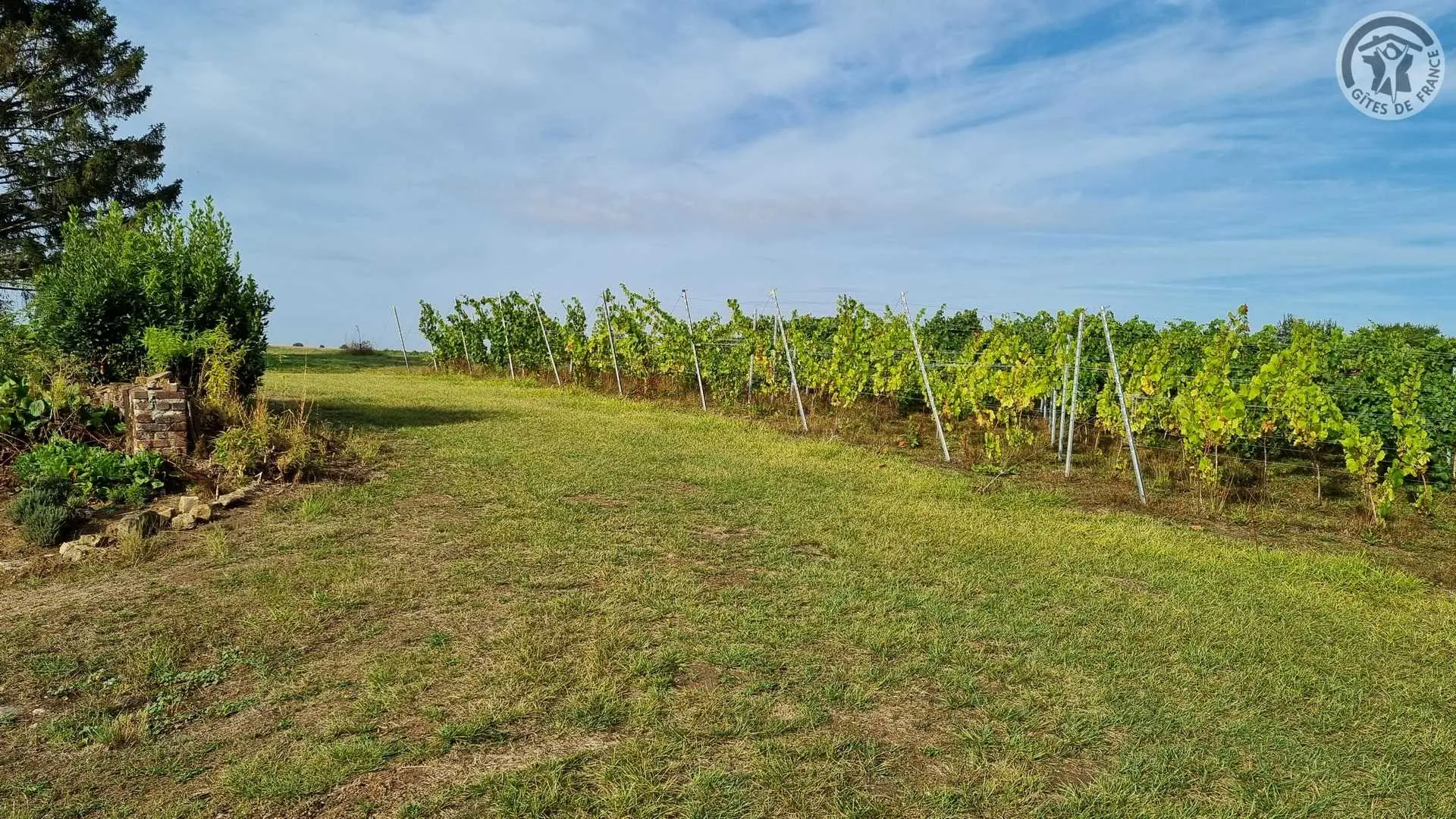 DALLON Les Hauts de Vigne