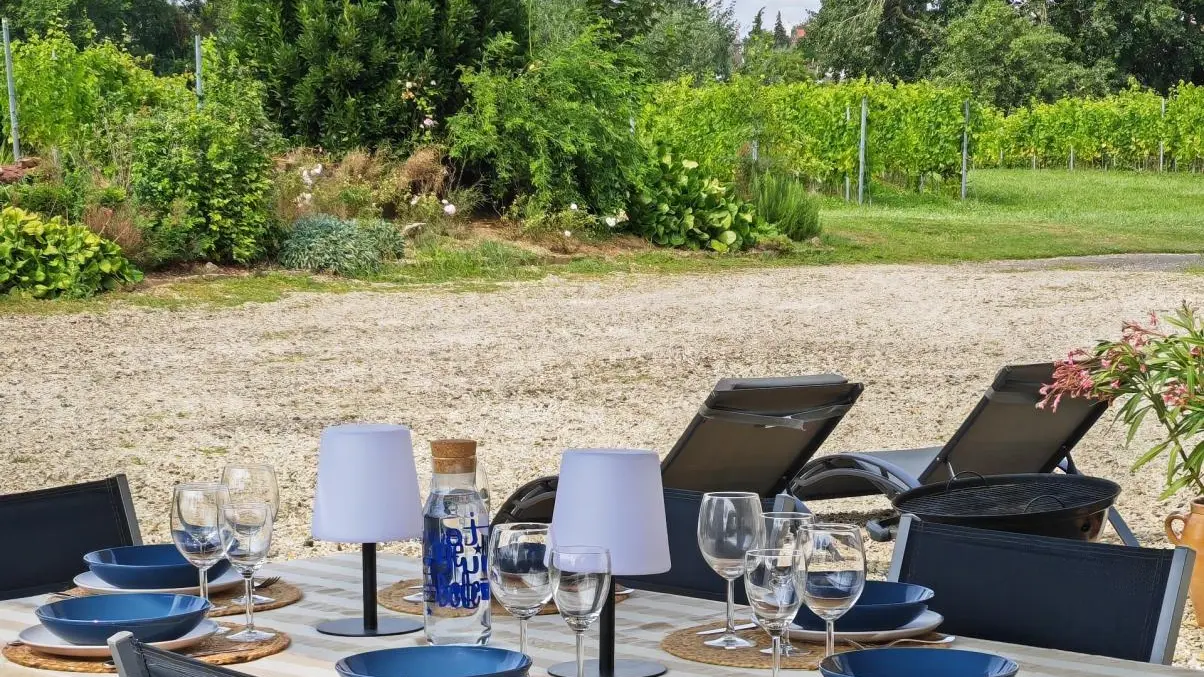 DALLON Les Hauts de Vigne