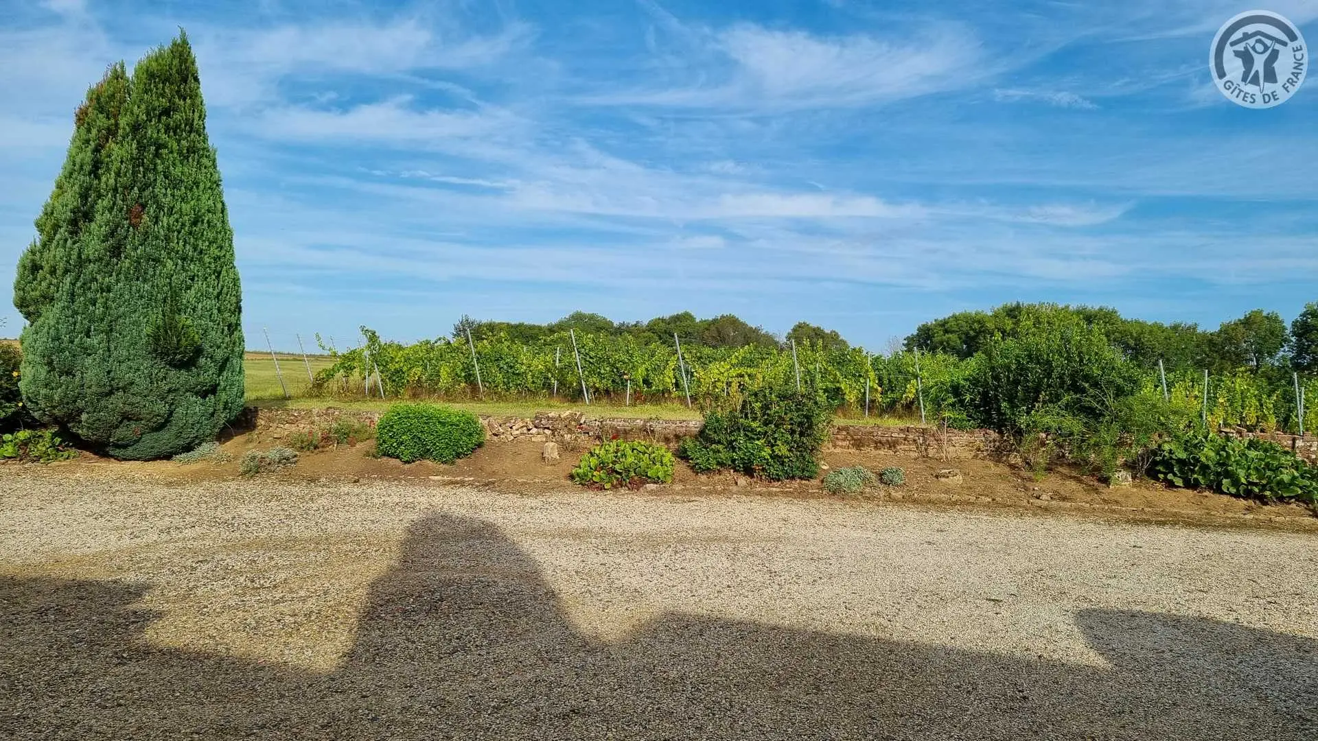 DALLON Les Hauts de Vigne