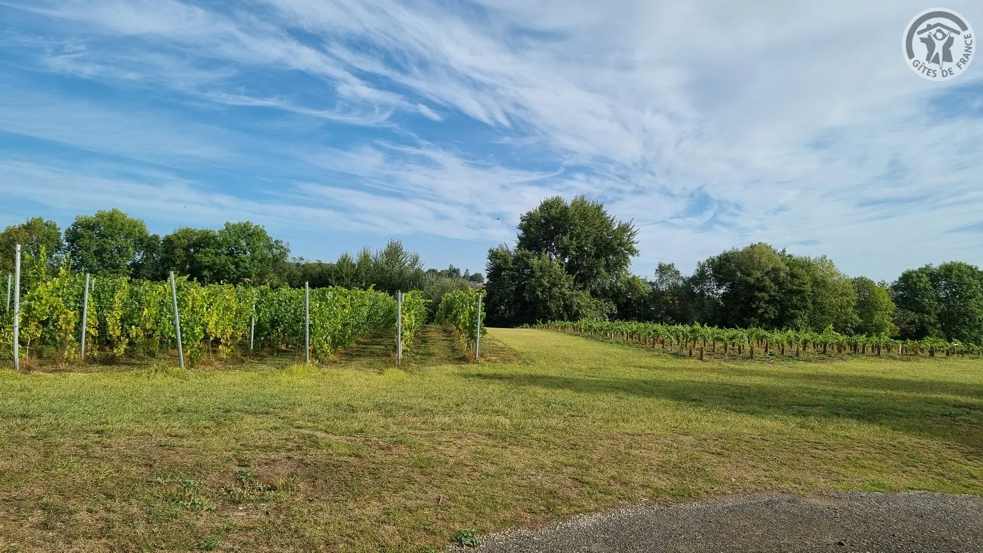 DALLON Les Hauts de Vigne