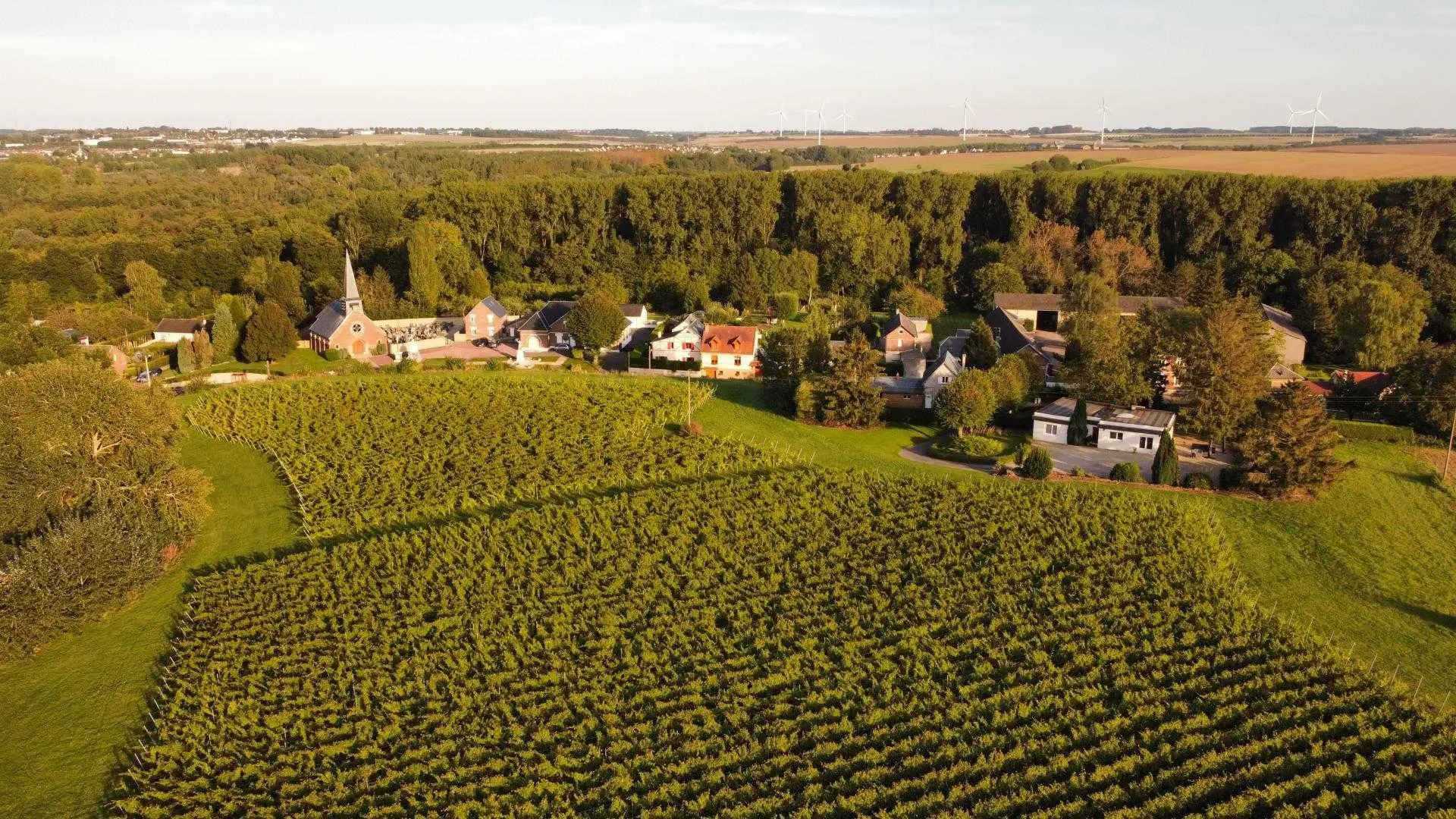 DALLON Les Hauts de Vigne