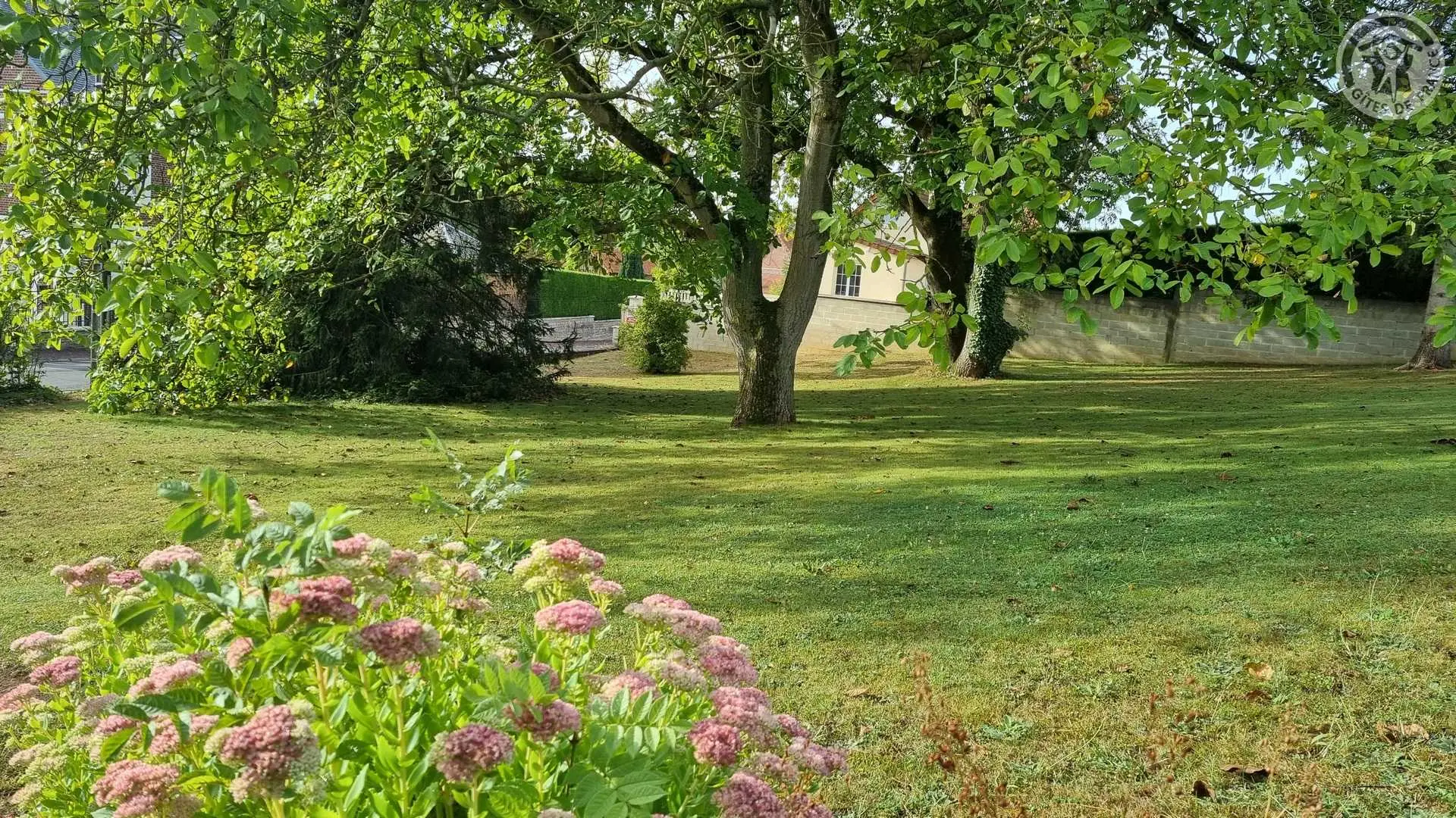 DALLON Les Hauts de Vigne