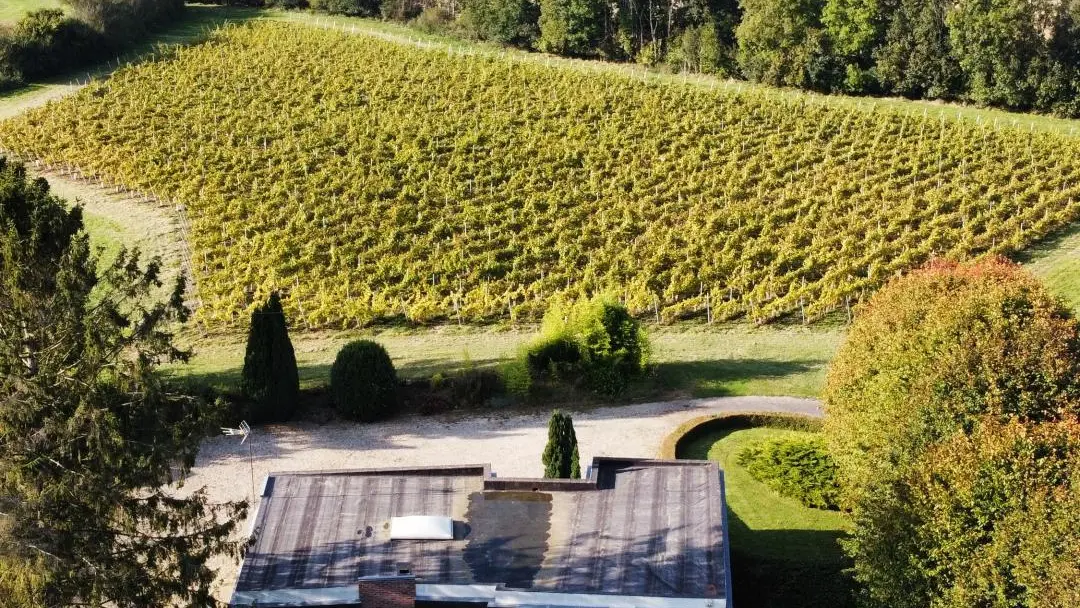 DALLON Les Hauts de Vigne