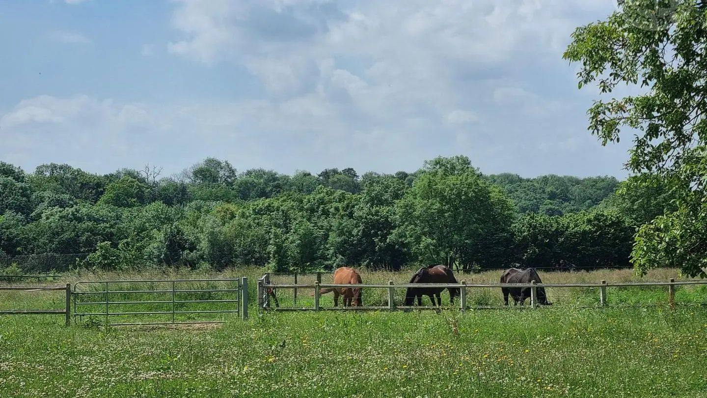 LARGNY SUR AUTOMNE Harmonie