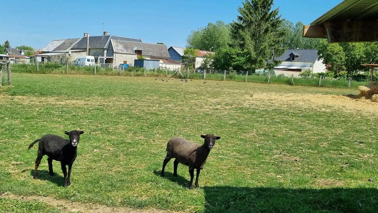 BESME Roulotte Nyméria