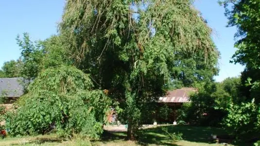 EPARCY Le Château