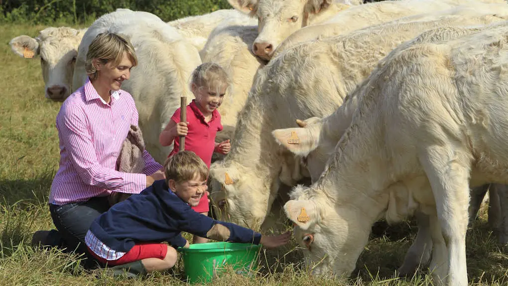 MOY-DE-L'AISNE La Ferme d'Alice