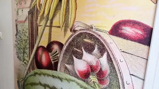 MISSY-SUR-AISNE Le potager de Radegonde