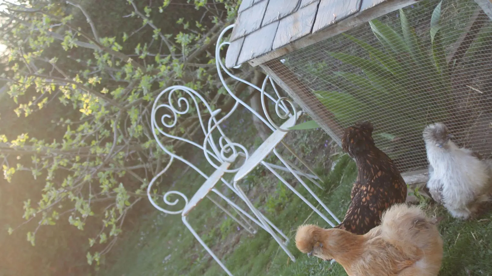 MISSY-SUR-AISNE Le potager de Radegonde