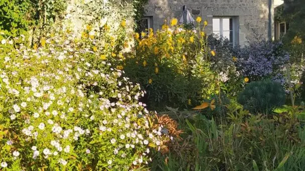 MISSY-SUR-AISNE Le potager de Radegonde