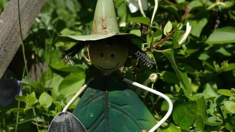 MISSY-SUR-AISNE Le potager de Radegonde