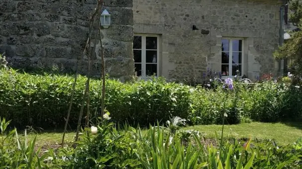 MISSY-SUR-AISNE Le potager de Radegonde