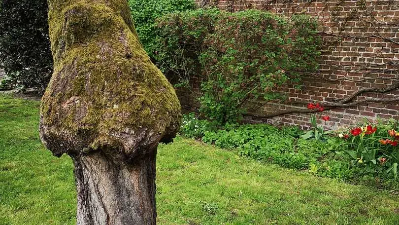 SINCENY Gîte de Sinceny